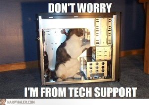 cat-tech-support-fixing-computer-YinHXR