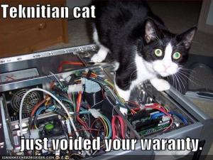 technician cat